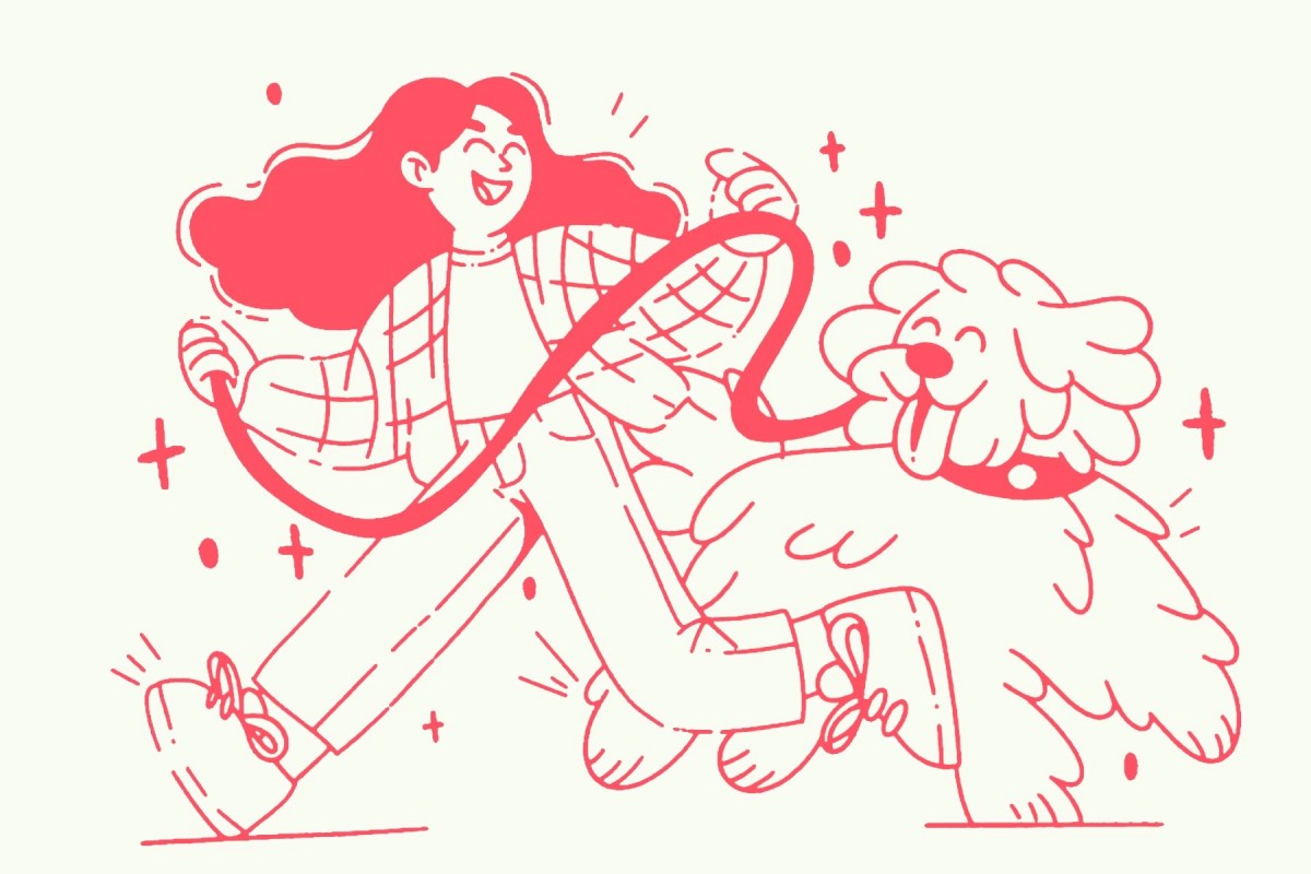 dog walker professional liability insurance